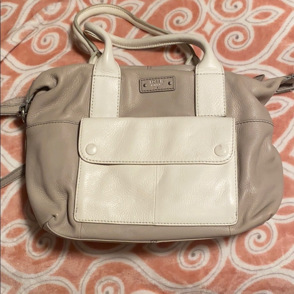 Fossil purse